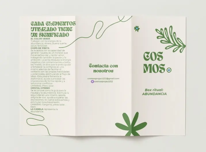 WhatsApp Image 2025-01-19 at 21.02.43 (2).webp